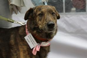 ��������� ��� ��� ���