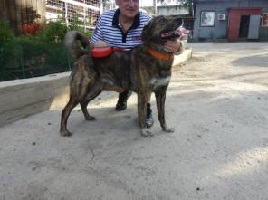 ��������� ��� ��� ���