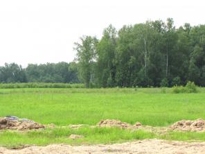 ������ �� ������������ ����� 13 �� ������� �����.