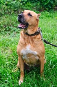 ����� ��������� ������