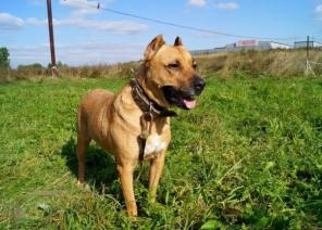 ����� ��������� ������