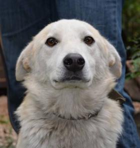 ��������-���� ������!