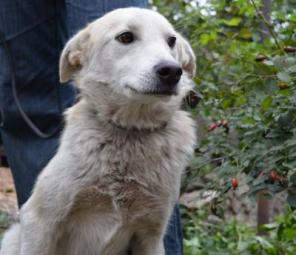 ��������-���� ������!