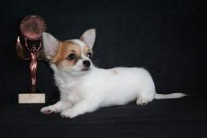 �������� �����