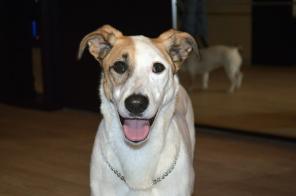 �����-����� ���� � ���!