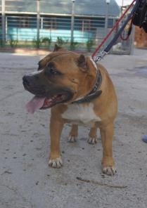 ����� ������� ���������� �����