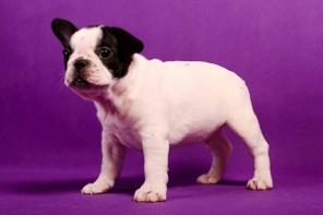 ����� ������������ ��������. �������� ����� ���.