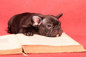 ����� ������������ ��������. �������� ����� ���.