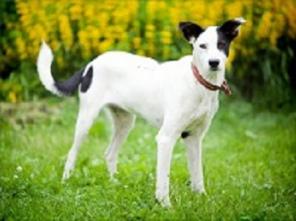 ������, ��������� �� ���� ���������� ����� ����� �����! � ���!