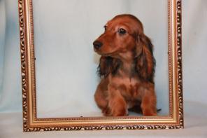 ����� �������������� ����� ����������� � ��������