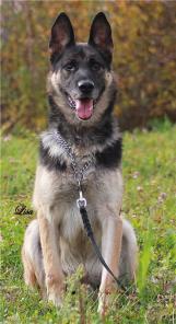 ���� ������� ������ �������� �������.