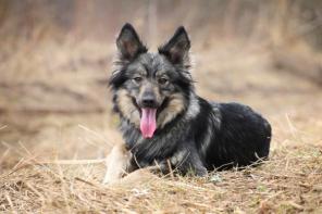 ���� - �����������, �������� ������� � ���!