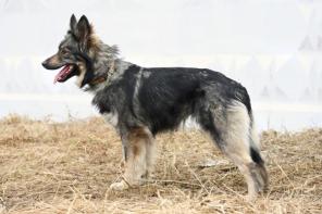 ���� - �����������, �������� ������� � ���!