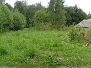 ������� �������