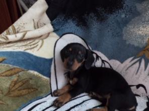 ������ ������ ����� ��������������