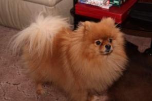 ������ �������� ����!