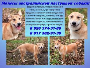 ����� ������ ������������� ��������� ������