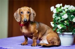 ����������� ��������� ���� ��������� ������ � ���