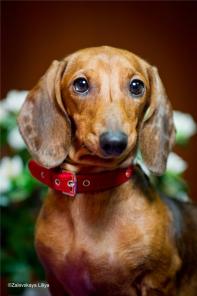 ����������� ��������� ���� ��������� ������ � ���