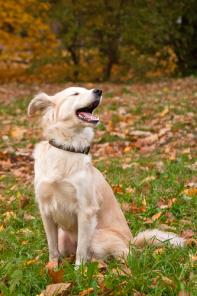 �� �������, �� ��� �� ��������� ������ �����!