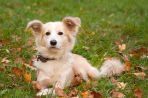 �� �������, �� ��� �� ��������� ������ �����!