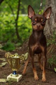 �������� ���������� ������ ���-������ ��� �����