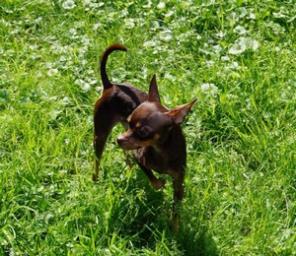 �������� ���������� ������ ���-������ ��� �����