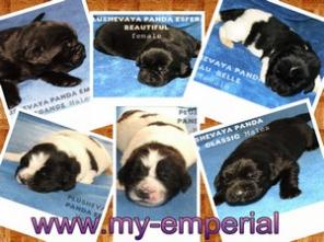 ������ �� ������ ������ ������������!