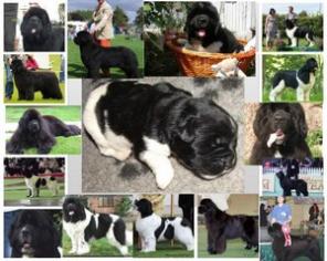 ������ �� ������ ������ ������������!