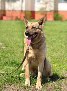 ������� �������� ����� ������� ���� �������.