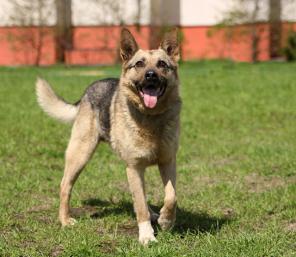 ������� �������� ����� ������� ���� �������.