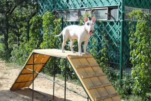 �����, ����� ������ ���������� ���� ���������� ���, ������.