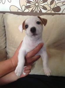 ��������� ����� ���� ������ ������