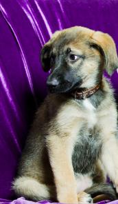 ������ ������� ������! � ������ ����.� ���.