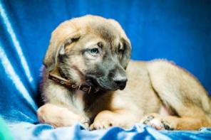 ������ ������� ������! � ������ ����.� ���.