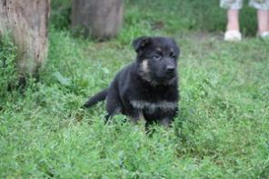 �������� ������� �����