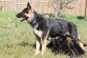 �������� ������� �����