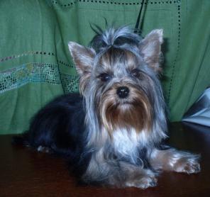 ����������� ������