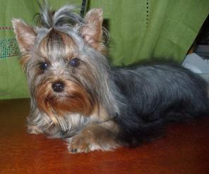 ����������� ������