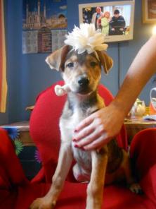 ����� � ������ ���� �������������� ������� ������