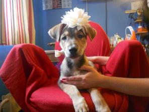 ����� � ������ ���� �������������� ������� ������