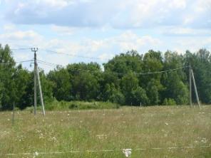 ������ ������� 12 ���.