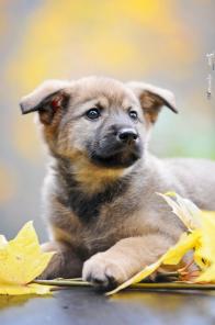 ����� � ������ ����!3 ���.