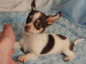 ������������ ����� �������� ������ �������.