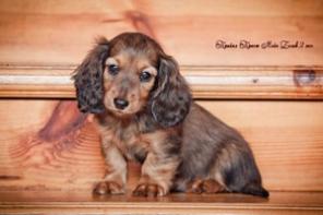 ����� ����� ����������� ��������������