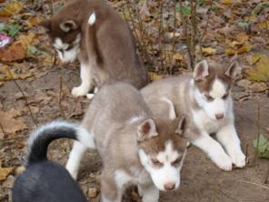 �������� ��� ������� ����� �����!