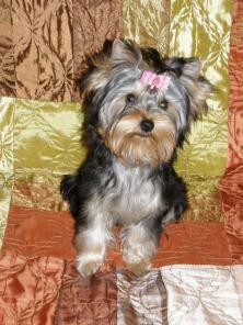 ������������ ����� ������������ �������