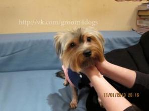 ������� ����� � ����� �� ����