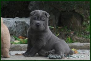 ����� ������ �� ��������� �������