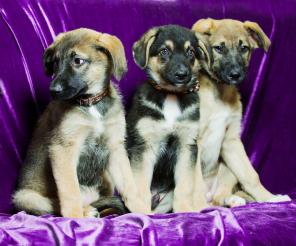 �� �� ����� � �����!!!